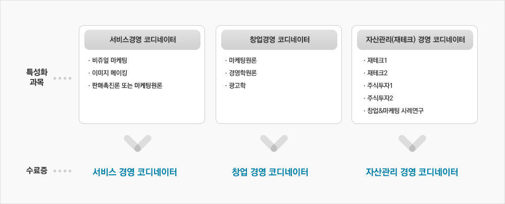 실용경영학부 교육과정에서의 분야별 전문가 트랙 다이어그램